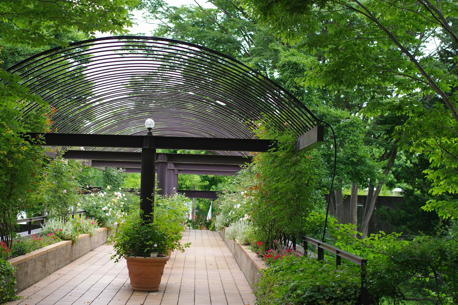 Neu gebaute Holzterrasse mit Pergola in einem privaten Garten